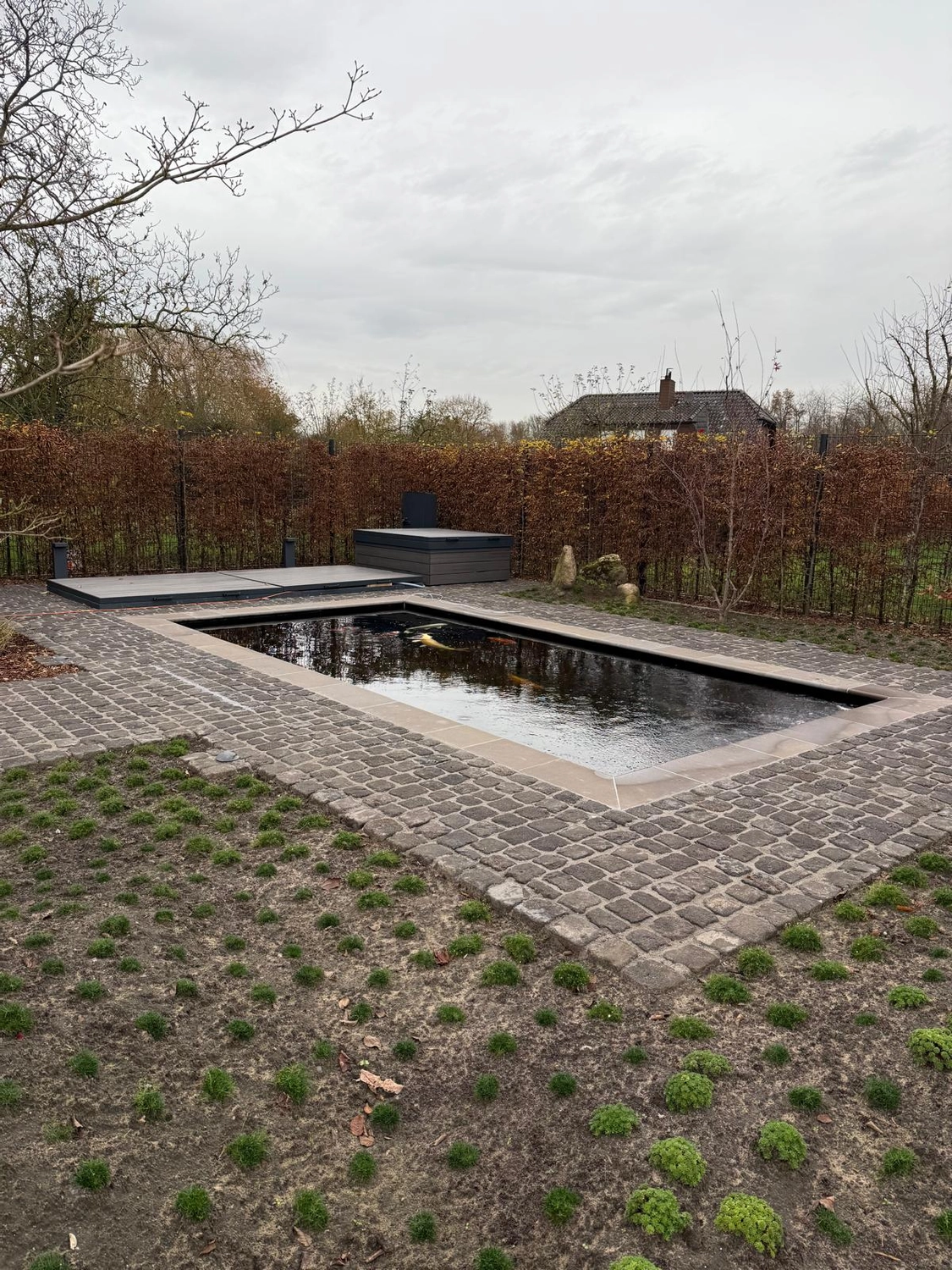 Marcel Ottmar Teichbau - Teichanlagen - Pool im Hinterhof